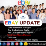 eBay Work From Home Job for Data Warehouse Manager 2025