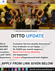 Work from Home Jobs at Ditto India